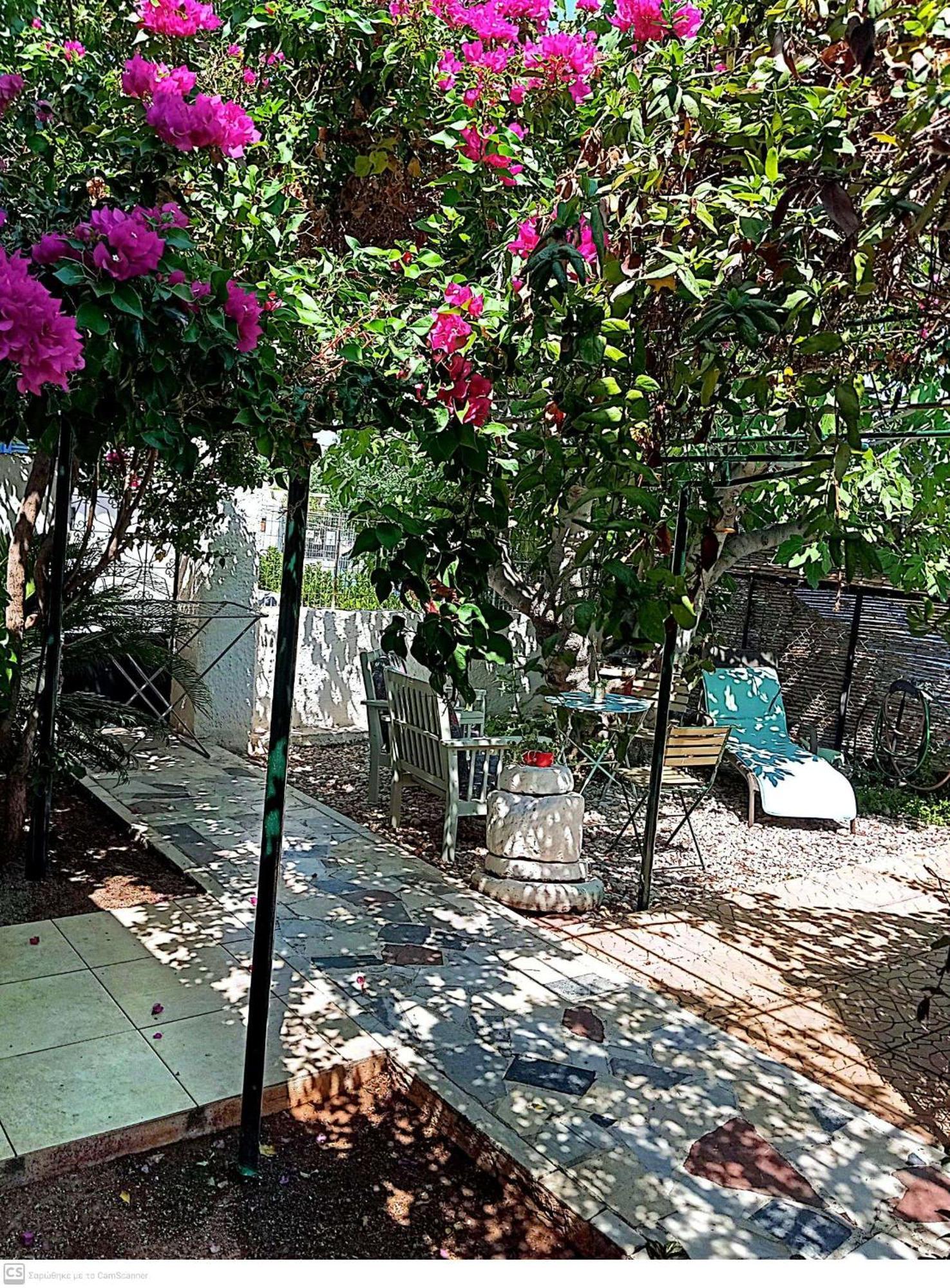 Εξοχικό Maria Villa Ambelakia Kültér fotó